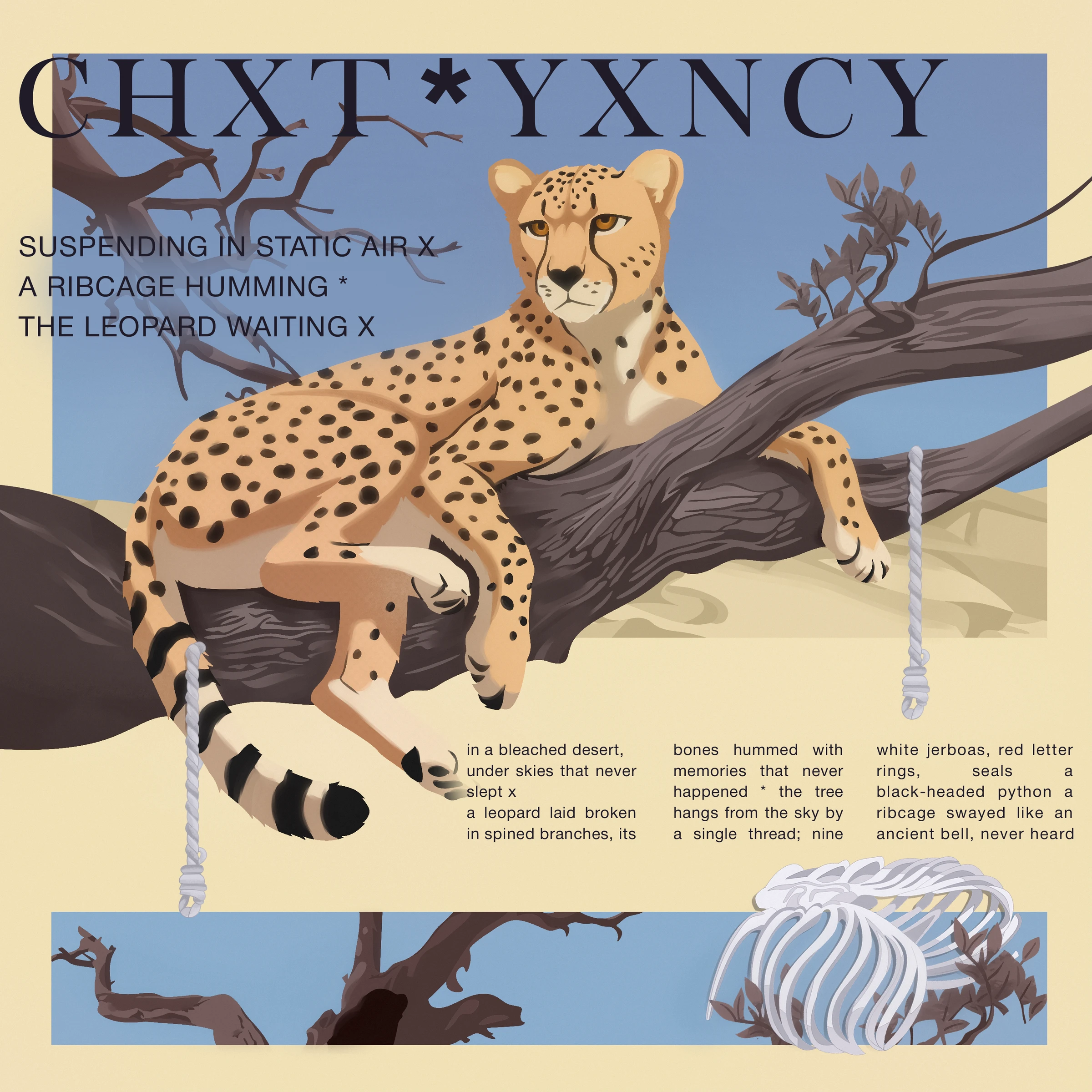 Chₓt*yₓncy — Fibr